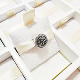 Cargar imagen en la galería, Charm Noche Estrellada Van Gogh